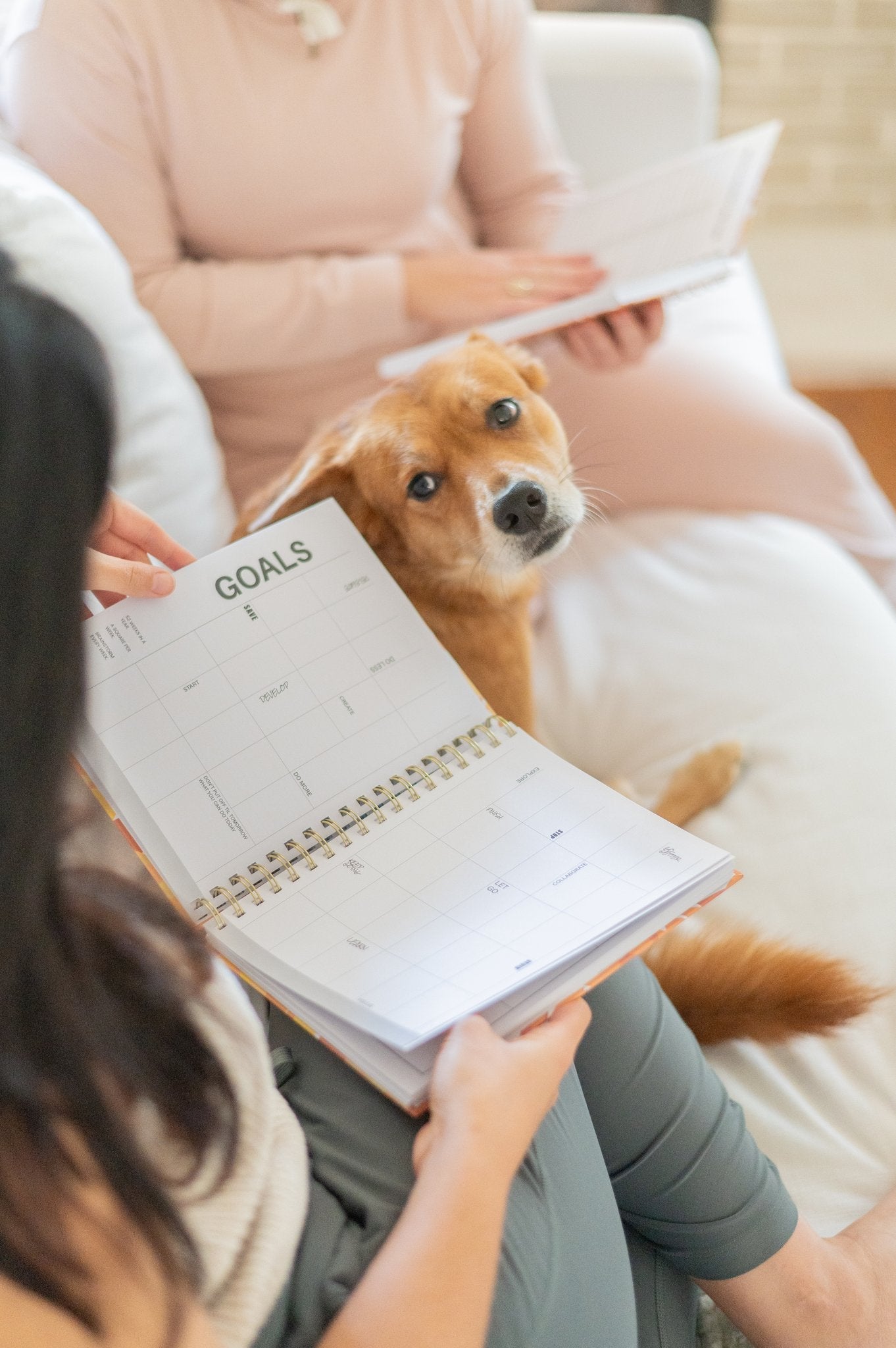 Managing Your Energy, Not Just Your Time: A Survivor's Guide to Better Days