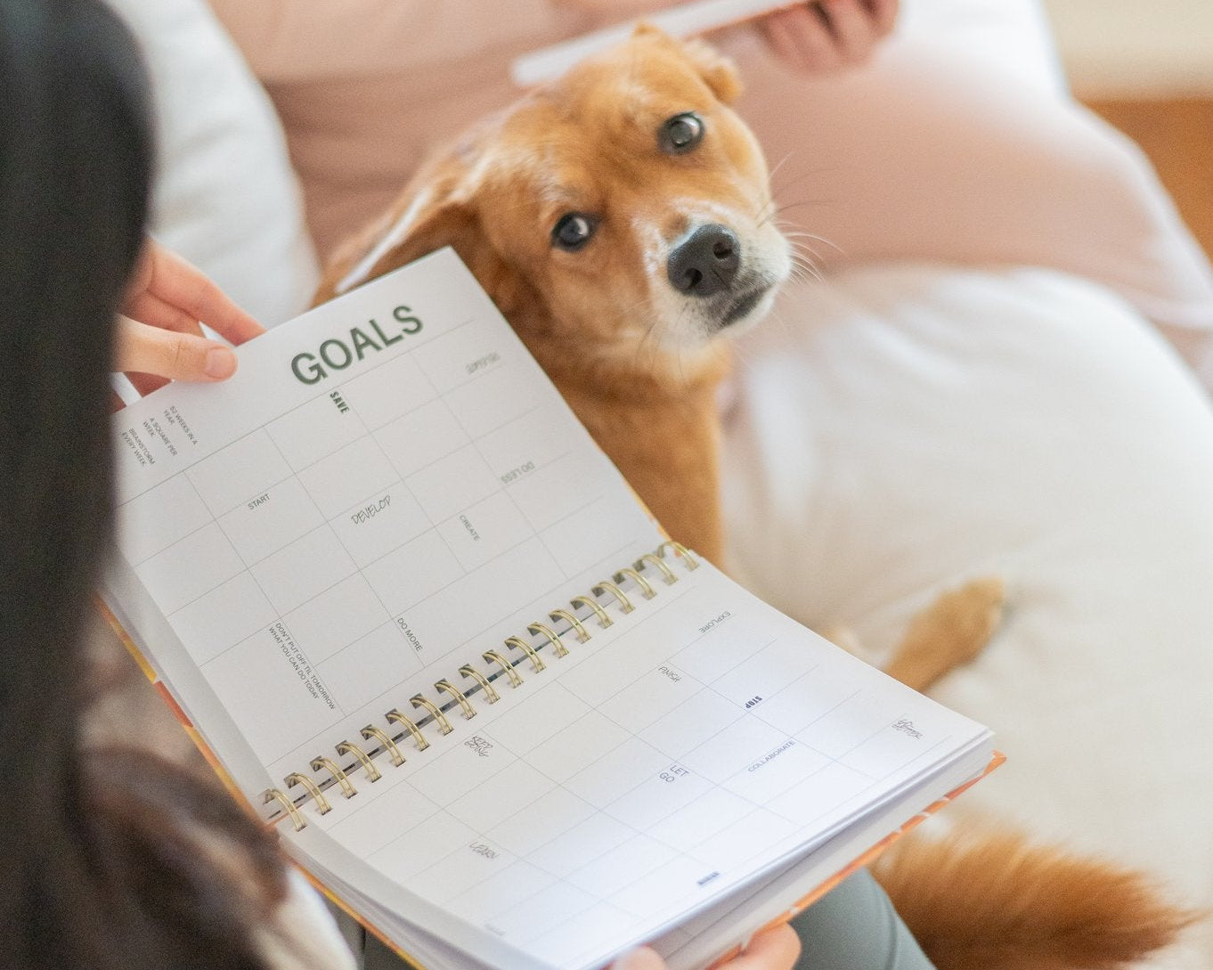 Managing Your Energy, Not Just Your Time: A Survivor's Guide to Better Days
