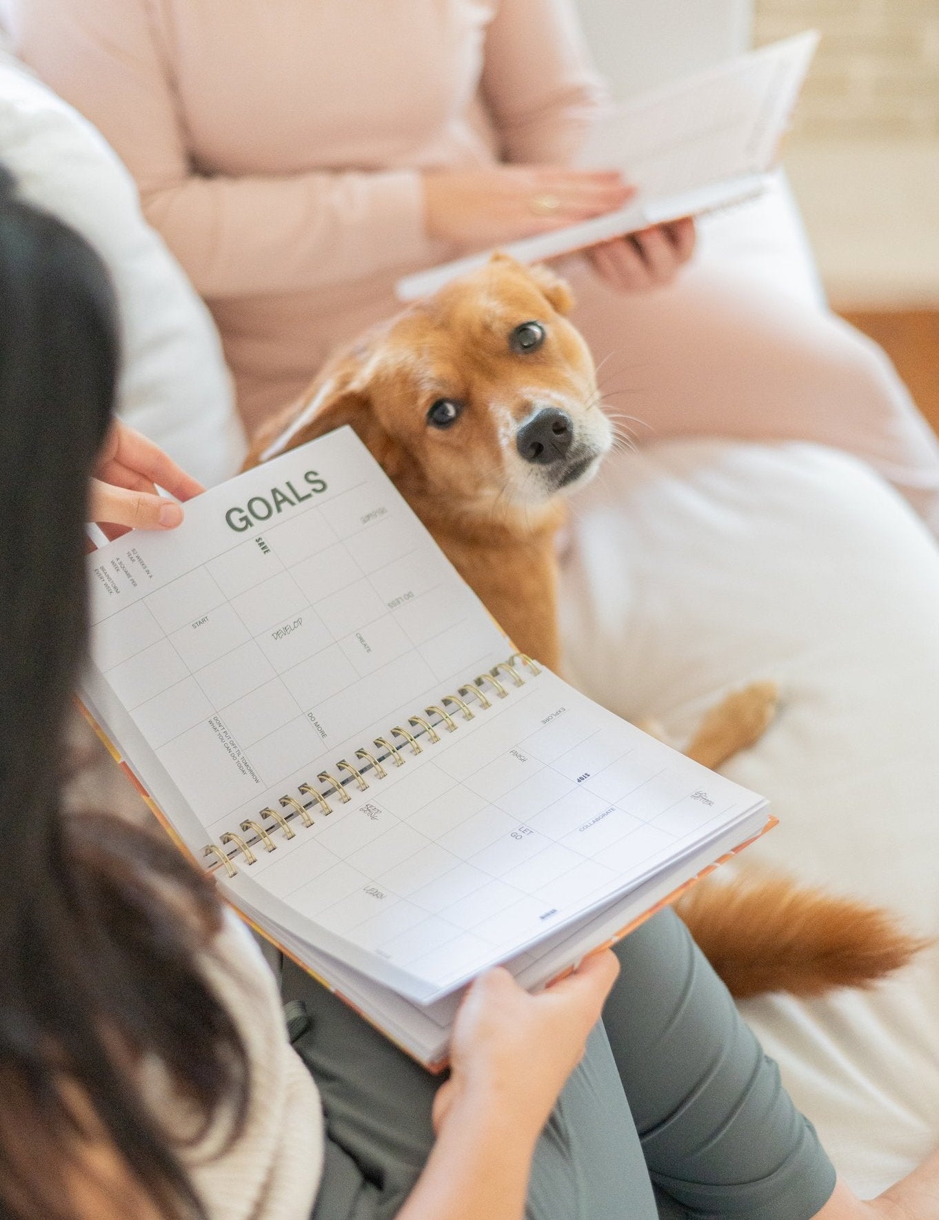 Managing Your Energy, Not Just Your Time: A Survivor's Guide to Better Days